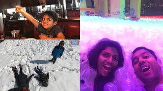 SNOW DAY FUN | Day in my life | INDOOR PARK | Family Traveler VLOGS (2020) |  USA Tamil VLOG