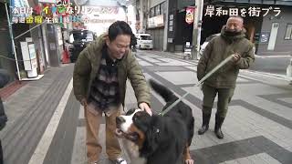 【デカい犬】なつかれる津田【ダイアンなり】