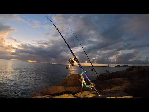 岩場の大物釣って食う