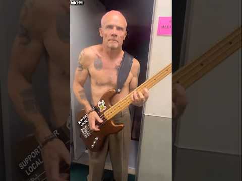 Flea Is The Master Of Slap Bass! #Flea #RHCP #RedHotChiliPeppers #Live #Shorts