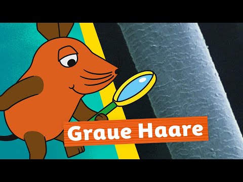 Wie entstehen graue Haare? | Die Maus | WDR