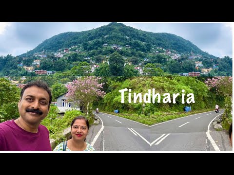 Our Tindharia Kurseong Tour /Holiday Trip/Siliguri To Tindharia /Darjeeling