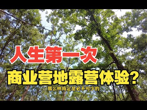 20年来第一次正经营地露营，你敢信？闹市下的神仙营地 我能在发呆一个月……