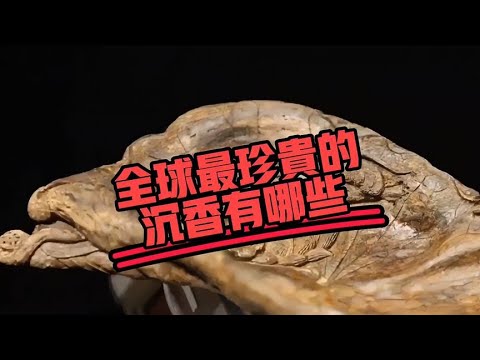 全球最珍贵的沉香盘点，这些沉香你认识几种