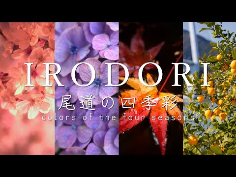 IRODORI 尾道の四季彩 colors of the four seasons