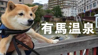 【犬とお出かけvlog】有馬温泉を犬連れで満喫する日帰り旅（兵庫）