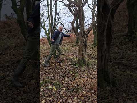 Reforesting Moorland Edges #reforestation #nature #nativetrees #explore #adventure #outdoors #trees