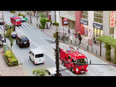 消防車　緊急車両！火事だ！全車両集合！#policeman #police #警察官 #警察24時 #shortvideo #japan かっこいい#イケメン #緊急出動#警察車両 #shorts