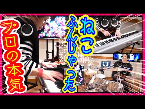 ねこふんじゃった / プロが本気でピアノ高速アレンジ【一人でドラムと連弾】Flea Waltz (Der Flohwalzer) Piano & Drum シャーベットクロック薬剤師ユーチューバー