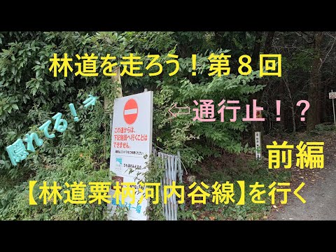 『林道を走ろう！』第８回　林道粟柄河内谷線を行く前編