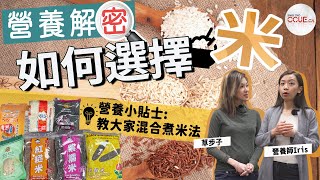 #CCUE 營養解密ep4｜糯米VS粘米邊種更健康？ 營養師教「溝米」比例 慢慢習慣食有色米 #營養價值 #米 #健康 #煮食 #白米 #糙米