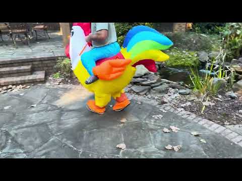 Kooy Inflatable Chicken Costume for Adults