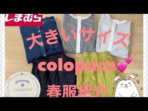 【しまむら】新商品colopuca💕春服紹介🌸大きいサイズ☘️