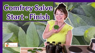 Comfrey Salve Start to Finish