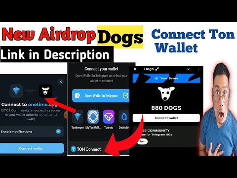 How To Connect Ton Wallet To Dogs Airdrop | Dogs Withdraw