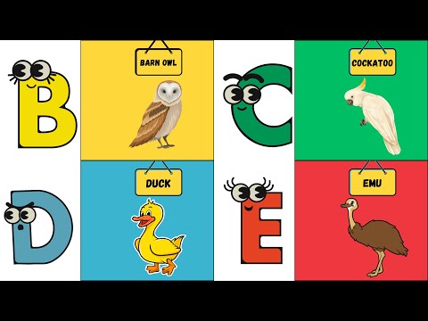 ABC Bird Song 🐦 | Learn Birds A to Z | Fun Alphabet Song for Kids | #abcd #kids