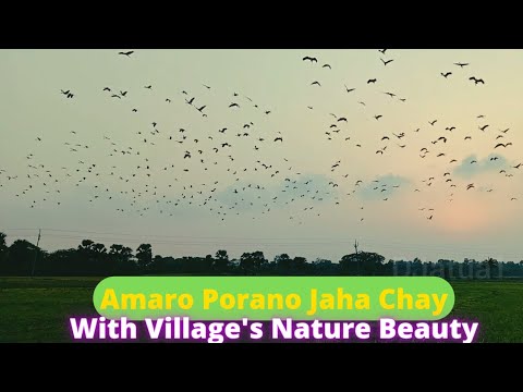 Amaro Porano Jaha Chay - Indian Village's Nature Beauty | Afternoon  Nature in India