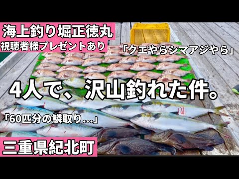 【海上釣堀】三重県紀北町にある正徳丸が釣れすぎてヤバい