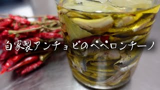 【お家で簡単】自家製アンチョビの作り方