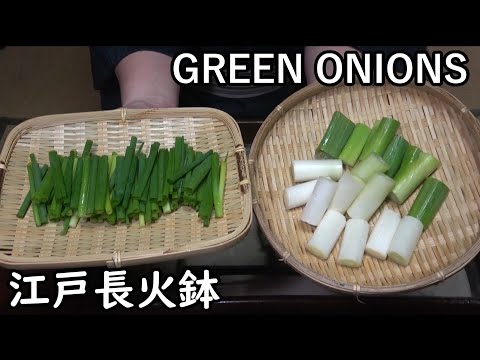 GREEN ONION & GUNDAM FACTORY[Japanese food at "NAGA-HIBACHI"]