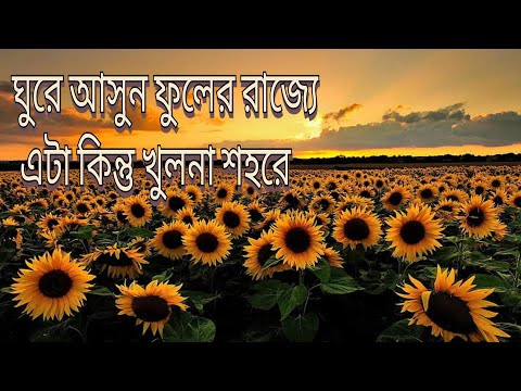 ফুলে ফুলে পরিপূর্ণ চারপাশ শহরের মধ্যে | বিনা খরচে এত সুন্দর একটা জায়গা থেকে ঘুরে আসতে পারবেন |