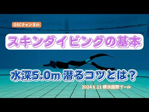 【スキンダイビングの基本】水深5.0mまで潜るコツとは？OSCスキンダイビング講習会（基礎編・応用実践編）の練習風景 in 横浜国際プール