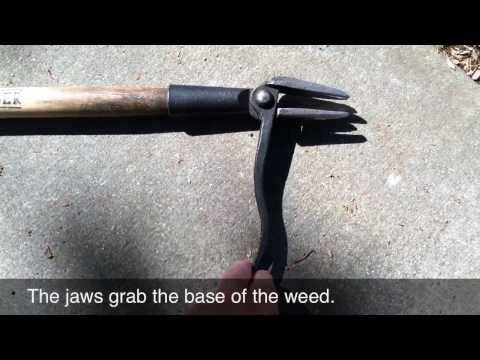 Grampa's Weeder - the easiest weeding tool I've found!