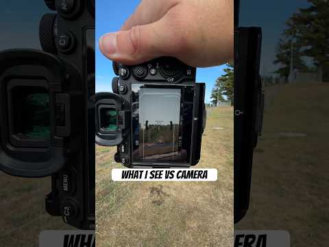 What I see vs my camera