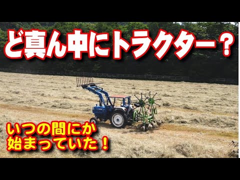 【トラクター】牧草刈り始まっていました！