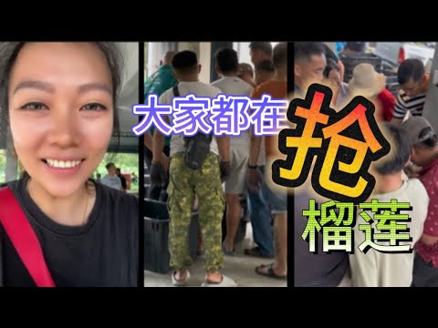 这里榴莲就来变黄金了 抢‼️抢‼️抢‼️没办法 今年的果真的不够供应 #马来西亚上霹雳高乌tasek榴莲 ｜包夫人vlog