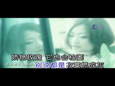 MV 男人酒女人泪 ~ 陈瑞