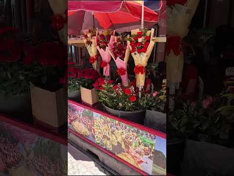 菲律賓的教堂外都賣了哪些東西｜What are sold outside churches in the Philippines?