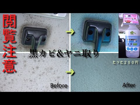 【閲覧注意】車の黒カビを半年間放置した結果。 【軽バン・車中泊生活】