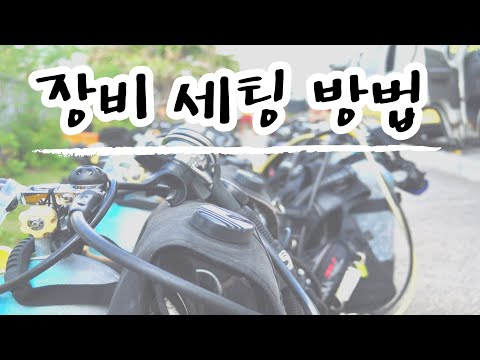 [오키나와 다이빙] 다이빙 기본스킬(장비 세팅) 핑크머메이드