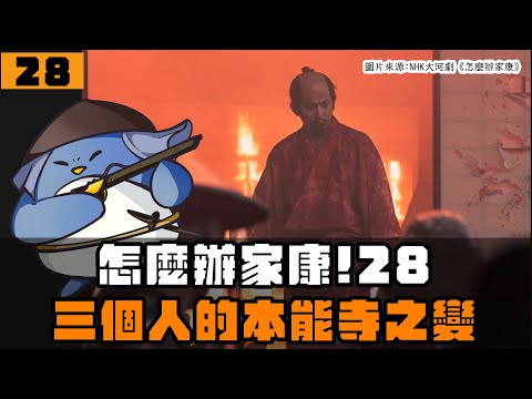 【怎麼辦家康】第28集 | 光秀、家康、信長的本能寺之變