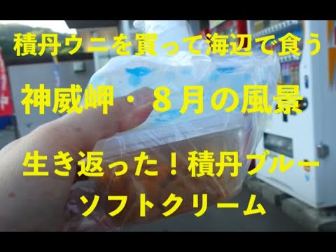 積丹ウニを買い海辺で食う、神威岬8月の風景＆もっと生きられたはずのあの子が死んだ