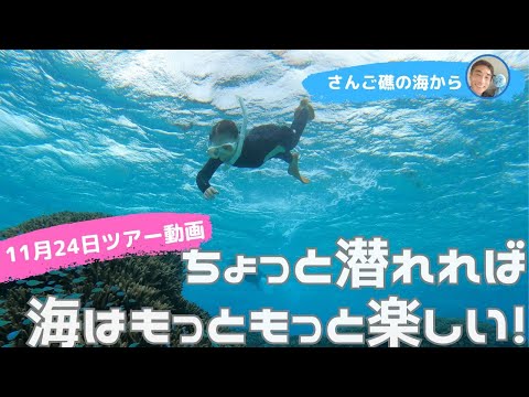 【石垣島】ちょっと潜れればもっともっと楽しい！絶景広がる浅瀬シュノーケリング♪11月24日シュノーケリングツアー動画