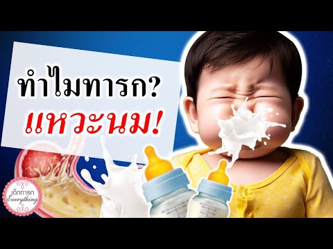 อาการทารก : ทำไมทารกถึง "แหวะนม"  | ทารกอ้วกนม |  เด็กทารก Everything