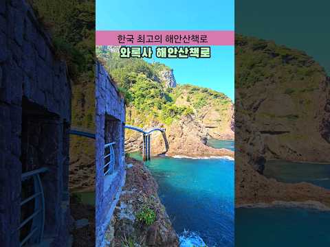 한국에서 가장 아름다운 와록사 해안산책로 /울릉도 여행 /여름 국내여행지 추천 /6월 국내여행지 추천/7월 국내여행지 추천 #여름여행지