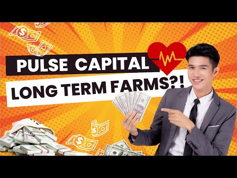 PULSE CAPITAL UPDATE | THIS IS PAYING ME 1.43% PER DAY!!