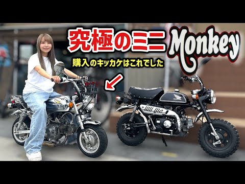 私がモンキー50を買ったキッカケに会いに行く。究極こだわり4miniカスタム車