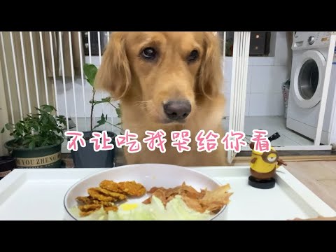 爱吃零食的狗子，它今天挑食了