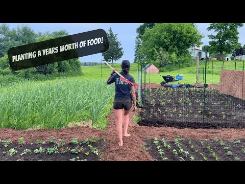 Planting A Years Worth Of Food!