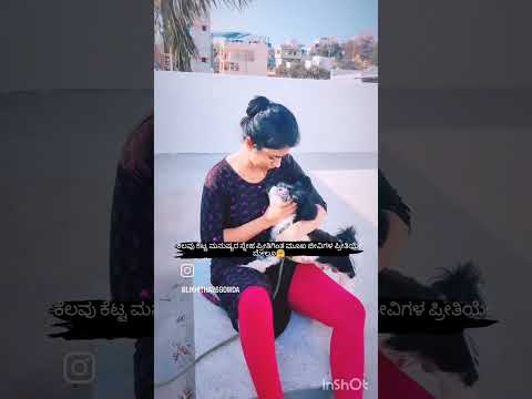 ಪ್ರೀತಿಯಲ್ಲಿ ಪ್ರಾಣಿಗಳೇ ಮೇಲೂ🐶🤗#instagram#youtubeshort#farming#reelsinstagram#