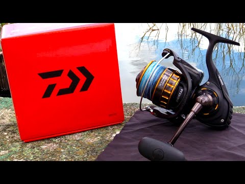 Daiwa BG Review | The Perfect Spinning Reel???