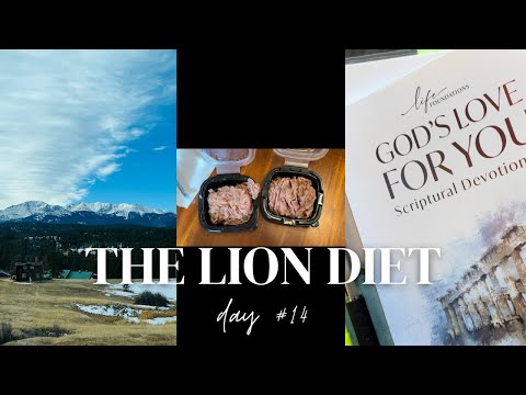 31 Day LION DIET Challenge | Day 14 Vlog & Encouragement