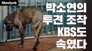 [진실탐사그룹 셜록] 박소연의 투견 조작, KBS도 속였다