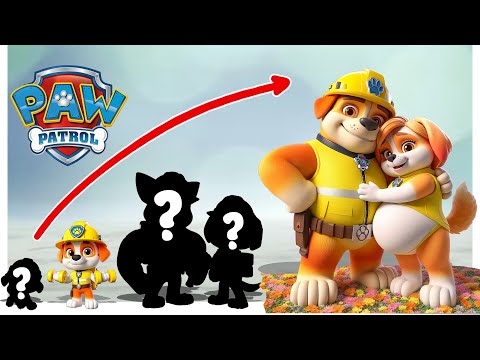 Paw Patrol 2024 | Growing up - Life After Happy Ending | Cartoon wow