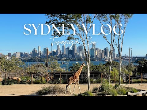 Australian Wild Encounters: My Unforgettable Trip to Toronga Zoo!