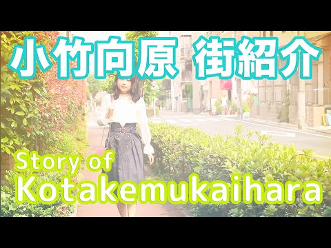 【街紹介】小竹向原 〜Story of KOTAKEMUKAIHARA〜